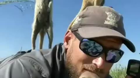just a man and his meerkat friends
