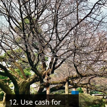 Money Management 101, Budgeting Strategies for Success"