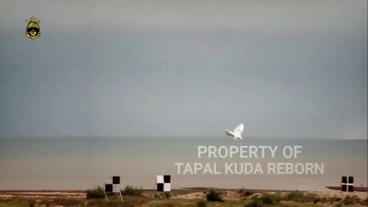 TNI SABOTAGE JAPANESE ARMY AND ALLIES IN THE BATTLEFIELD - HORSEHOUSE REBORN