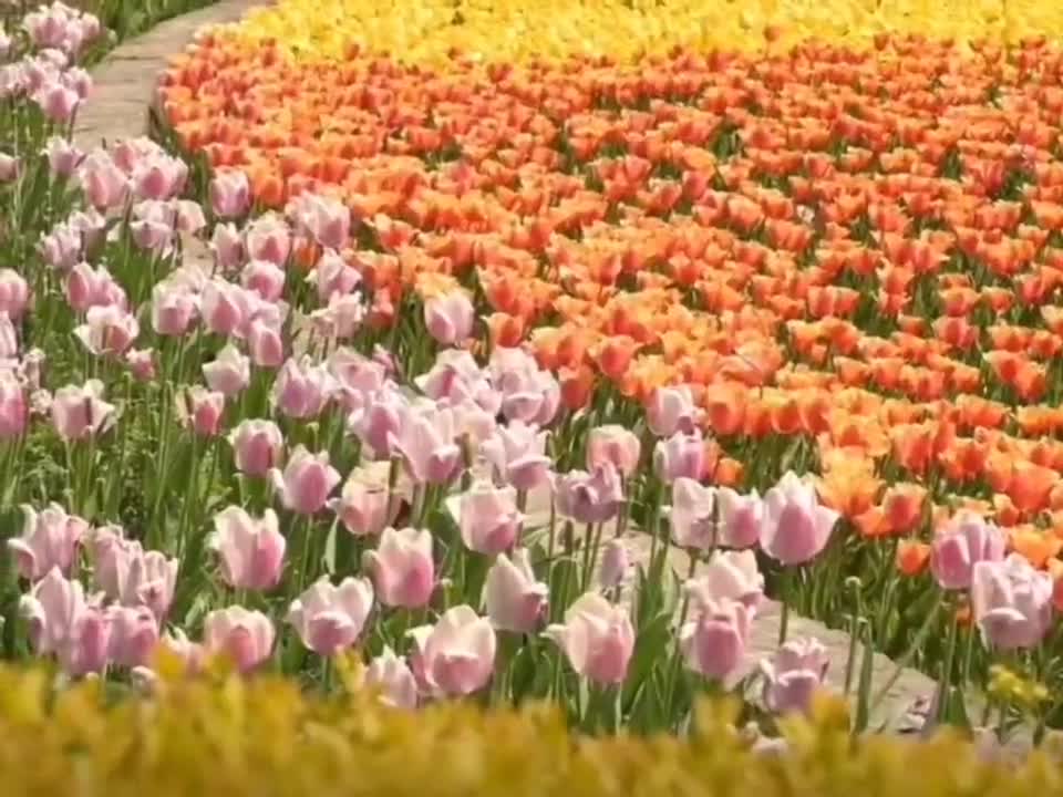 To be a romantic person, from sending flowers to yourself gradually