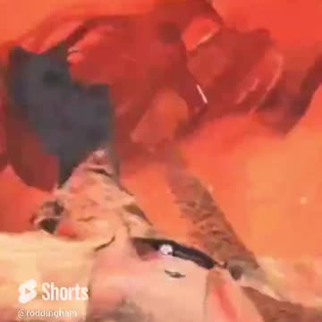 I taped some dynamite to the end of a stick