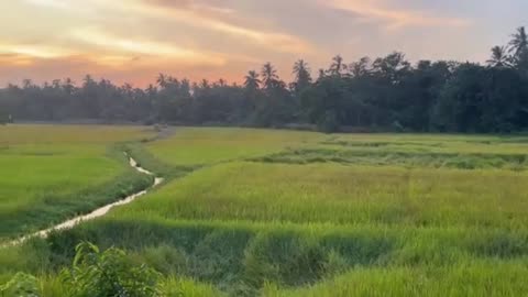 Rustic Village Wonders | The Hard Life Behind the Beauty!
