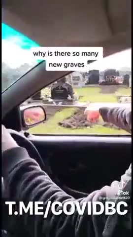 The Graveyards Are Starting To Fill Up With People That ＂Died Suddenly＂