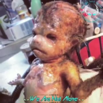 THE UNDERGROUND HAS MANY SECRETS