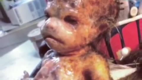 THE UNDERGROUND HAS MANY SECRETS