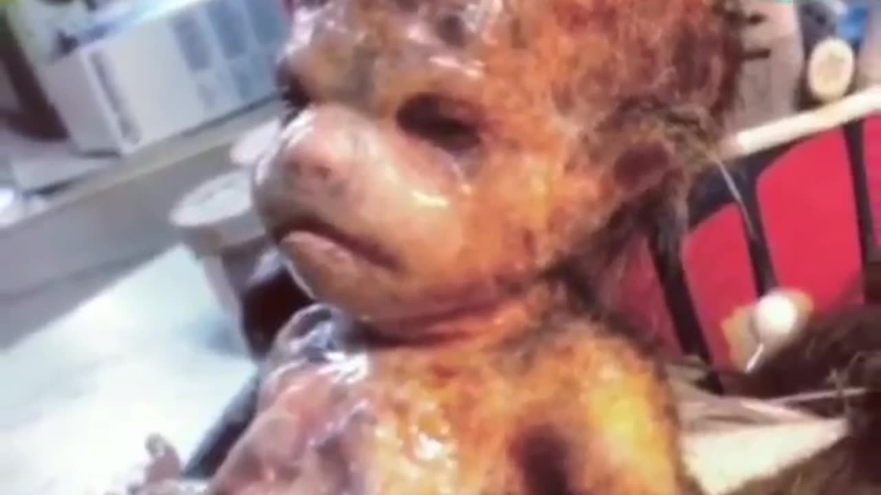 THE UNDERGROUND HAS MANY SECRETS