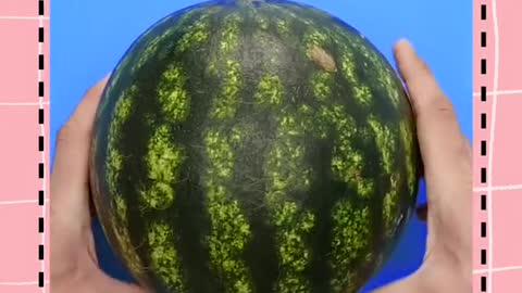 Watermelon's Premium Meal
