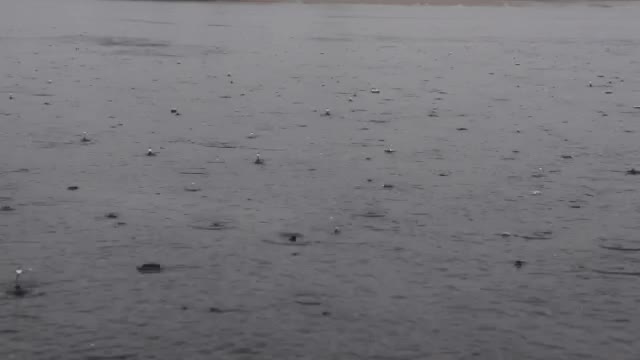 [Live] Soothing heavy rainfall ambient Rain Sounds for Sleeping, Insomnia, Studying Relaxing