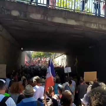 Protesters sing the anthem of the Yellow Vests during the demonstration in Albi (southern France)
