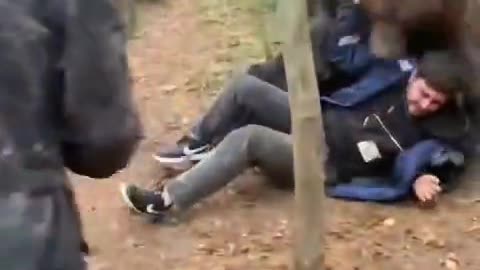 Playing With the Bear... Certainly Some Similarities To Current Events