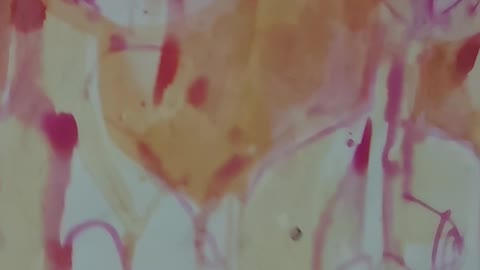 Close up 4