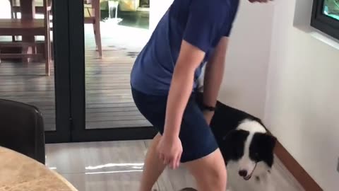 Baby dog tranning tips