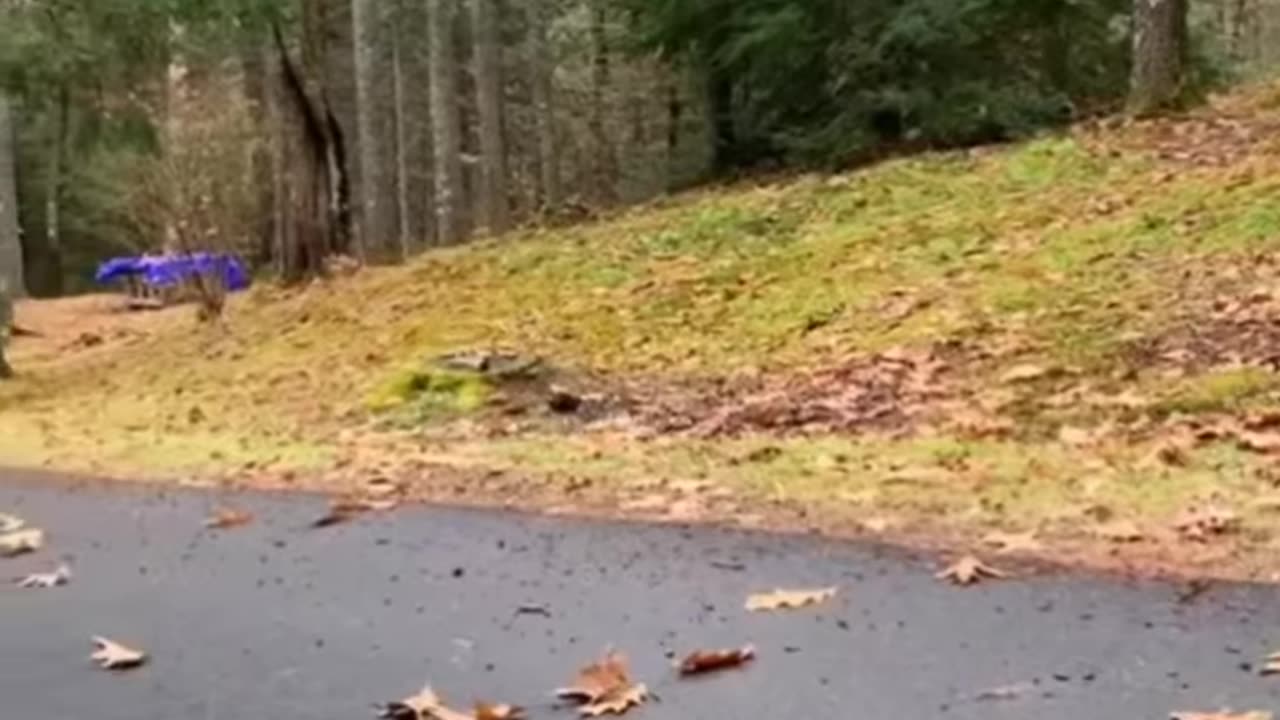 Amazing funny videos // comedy scenes ##