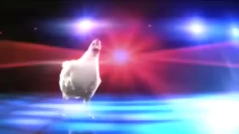 J.Geco - Chicken Song