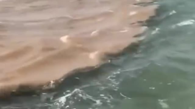 When the Amazon River meets the Tapajós River in Santarém, Para,Brazil. Amazing!