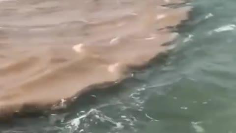 When the Amazon River meets the Tapajós River in Santarém, Para,Brazil. Amazing!