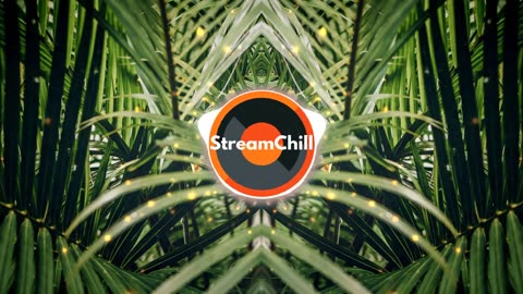 FREE Chill Music | Campfire - Roa | Tropical house to [chill/study/relax/Gaming]