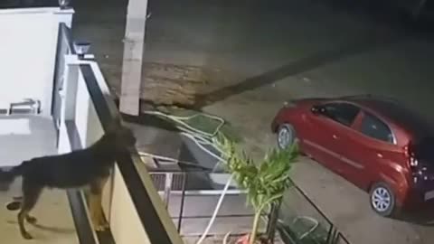 Oh no, what is that?