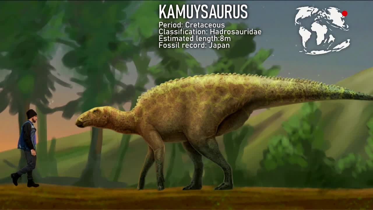 ORNITHOPODA: Hadrosaurus -size comparison with an adult human
