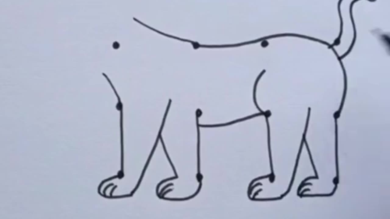 Drawings on Dots