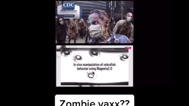 Pierre Gilbert Warnes In 1995 About Mandatory Vaccine.