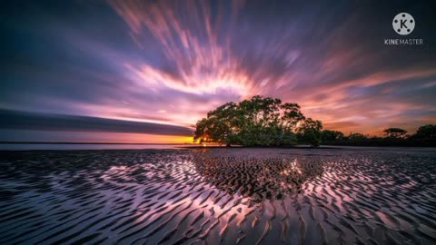 Relaxing Sleep Music Deep Sleeping Music, Fall Asleep, Sweet Dreams