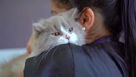 Take good care of the cat