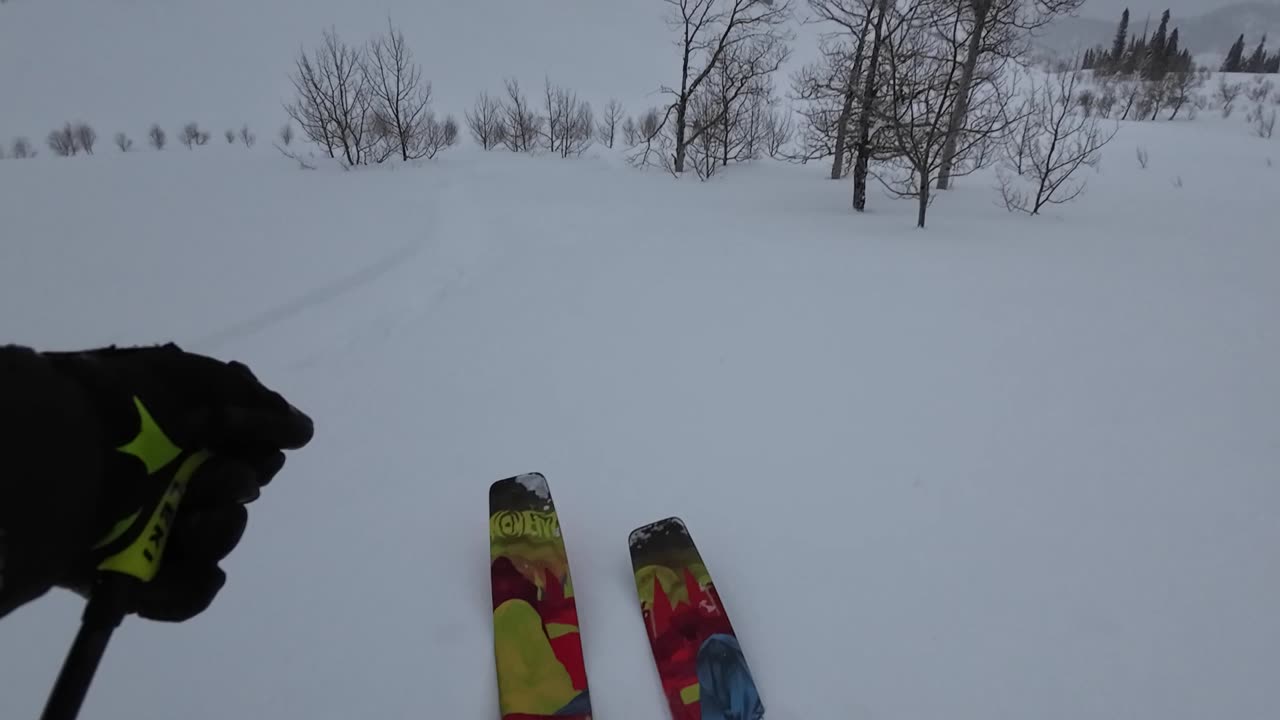 3/1 illusion flat light good snow
