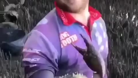 This is a beautiful and charming water-dwelling species