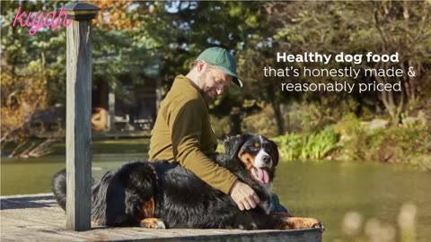 Recipe Easy to Digest Wet Dog Food, Chicken, Rice & Barley Recipe,