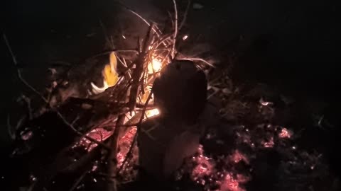 آتش و دور همی