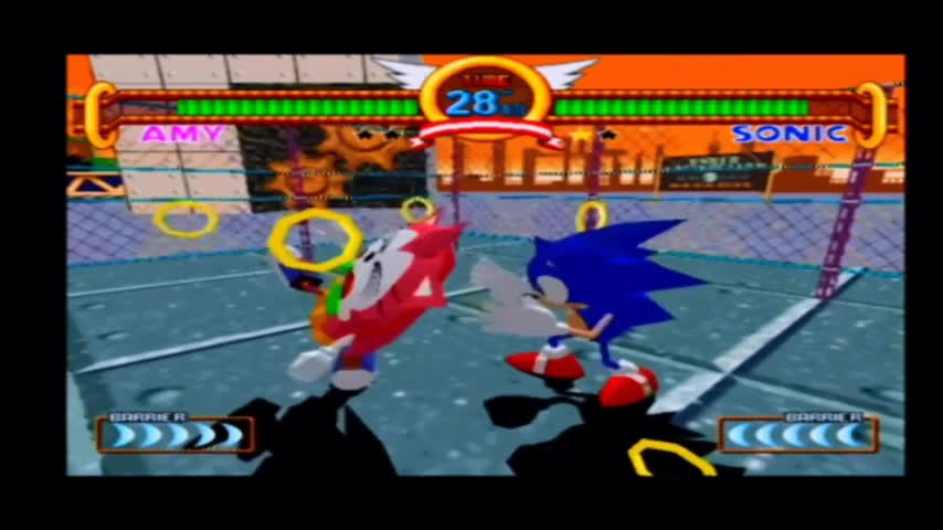 Sonic The Fighters