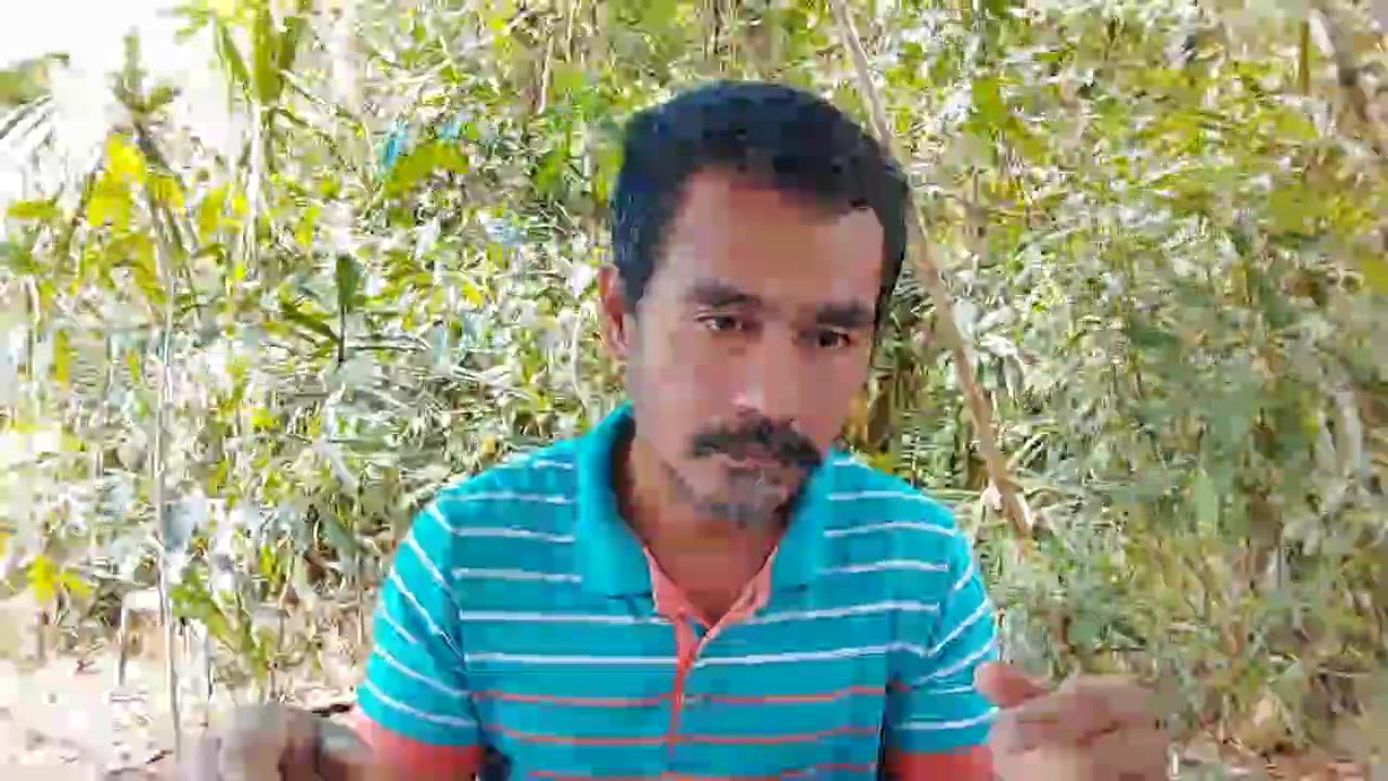 10 DECEMBER 2023 FDCF ON-LINE SUNDAY SCHOOL