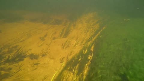Underwater Adventure