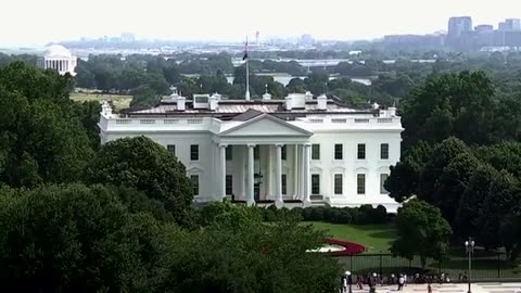 How Democrats could replace Biden as their nominee | REUTERS