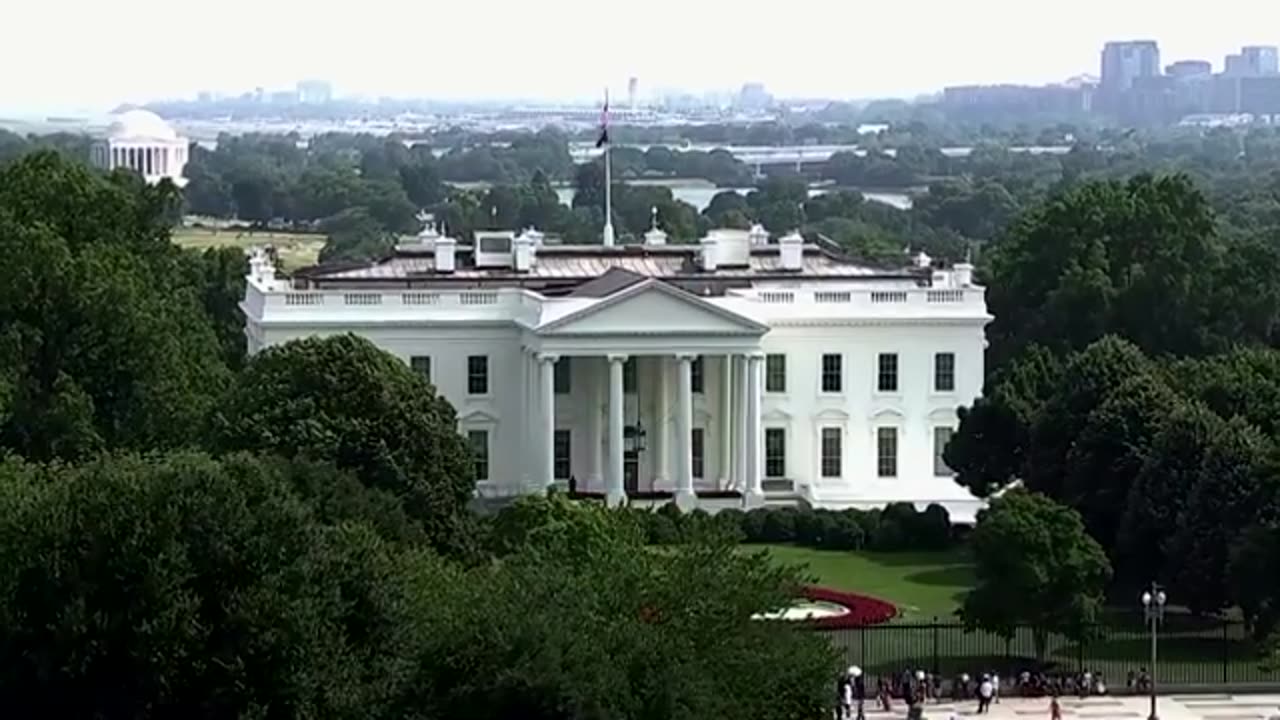 How Democrats could replace Biden as their nominee | REUTERS