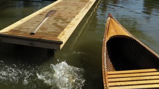 Pug Cannot Canoe