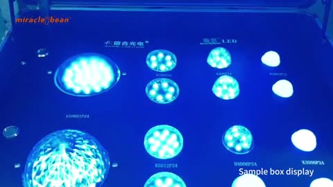 Miracle Bean led---make your building instantly become the focus of urban night scenes.