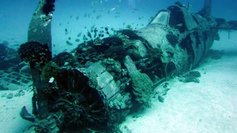 12 Most Incredible Abandoned Planes-16