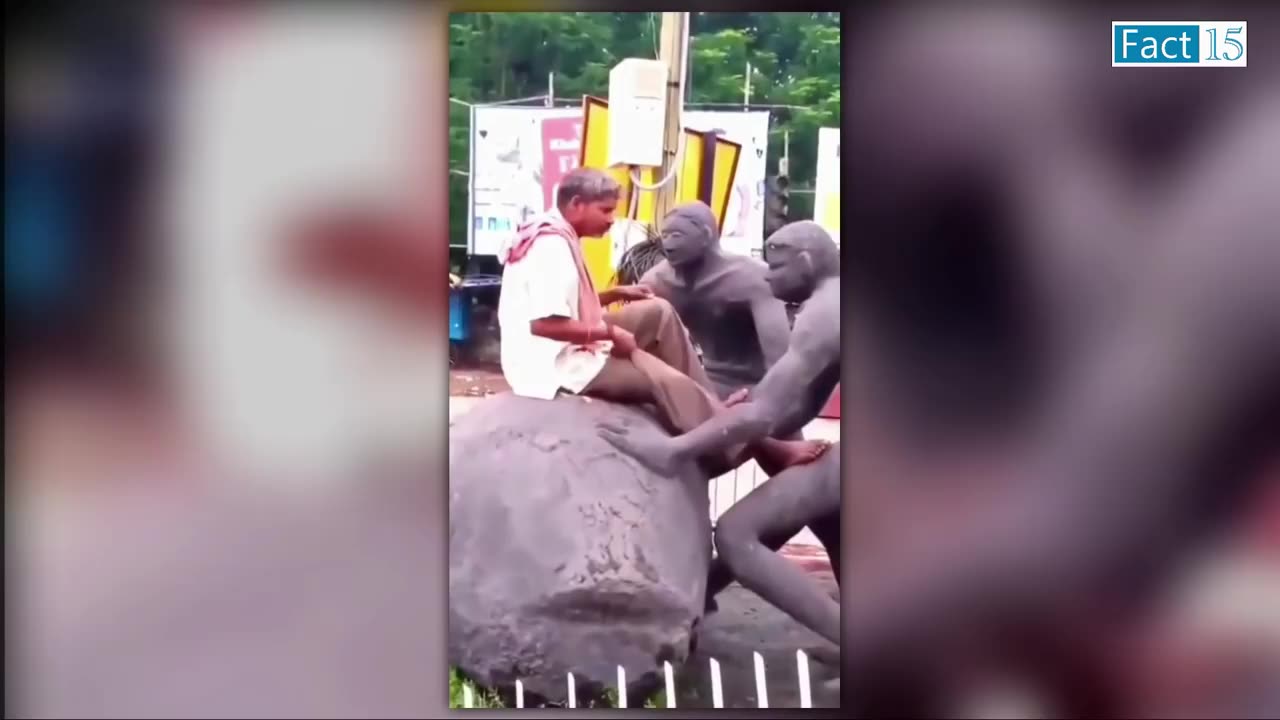 funny video after drinking