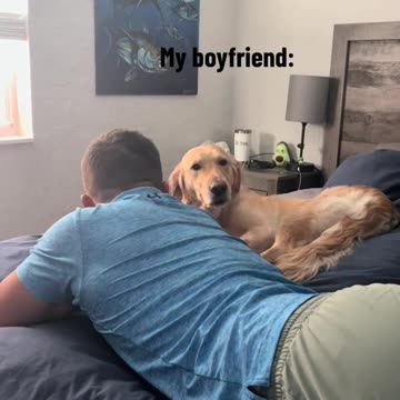 Boyfriend Takes Dog’s Spot on Bed, Hilarious Reaction!