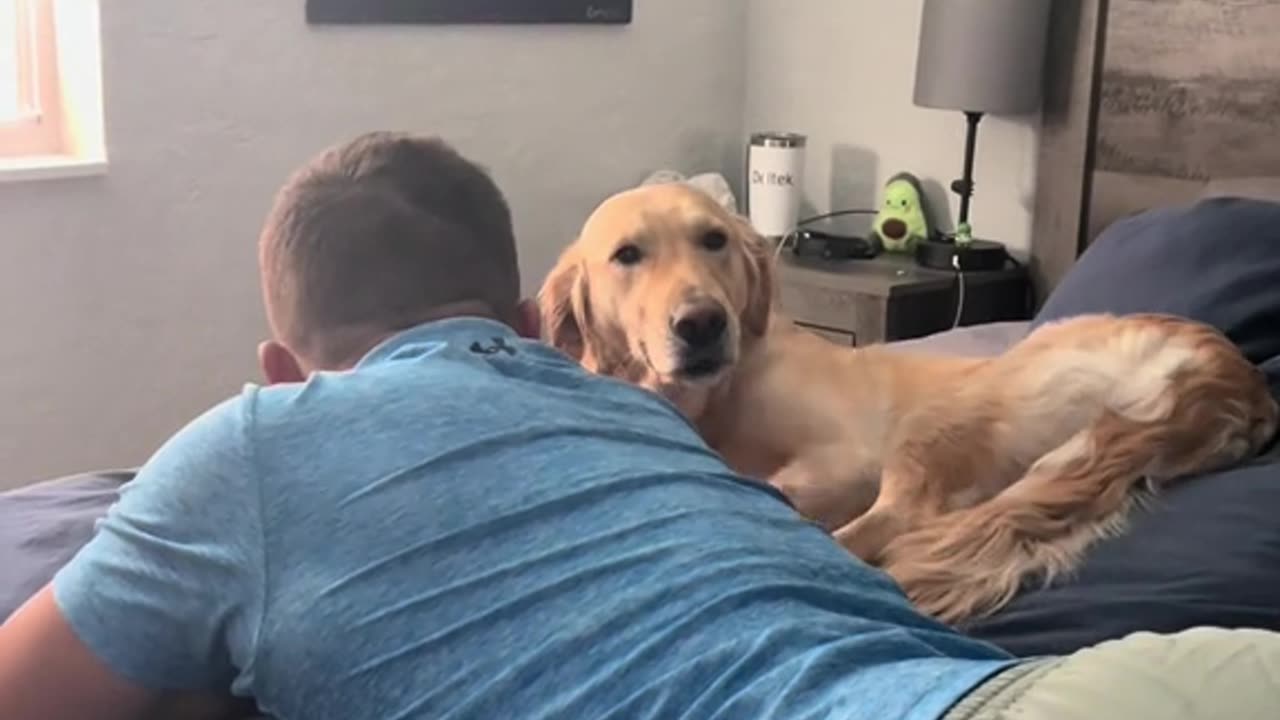 Boyfriend Takes Dog’s Spot on Bed, Hilarious Reaction!