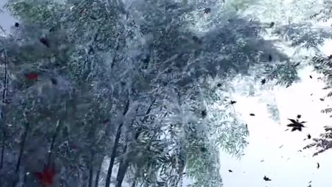 Wow beautiful nature view relax cool music