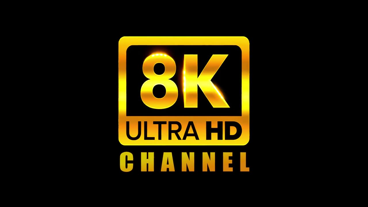The Colors of the Ocean 8K ULTRA HD - The Best 8K Sea Animals for Relaxation & C