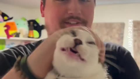 show off your cat -- kiracaylen