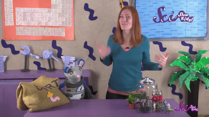 Build a Tiny Plant World! Science Project for Kids