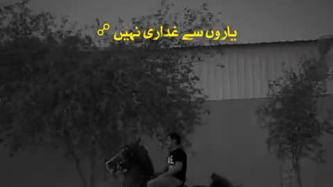 MONA horse Riding