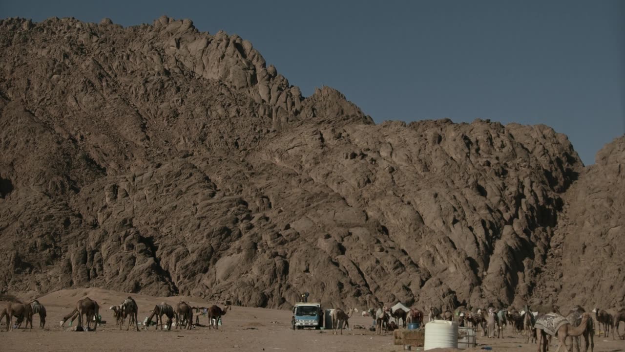 Adventure Video