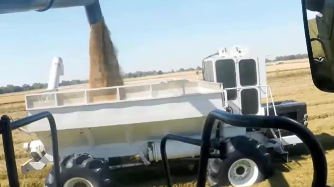 The Most Advanced Rice Harvesting Machine; Mesin Panen Padi Tercanggih