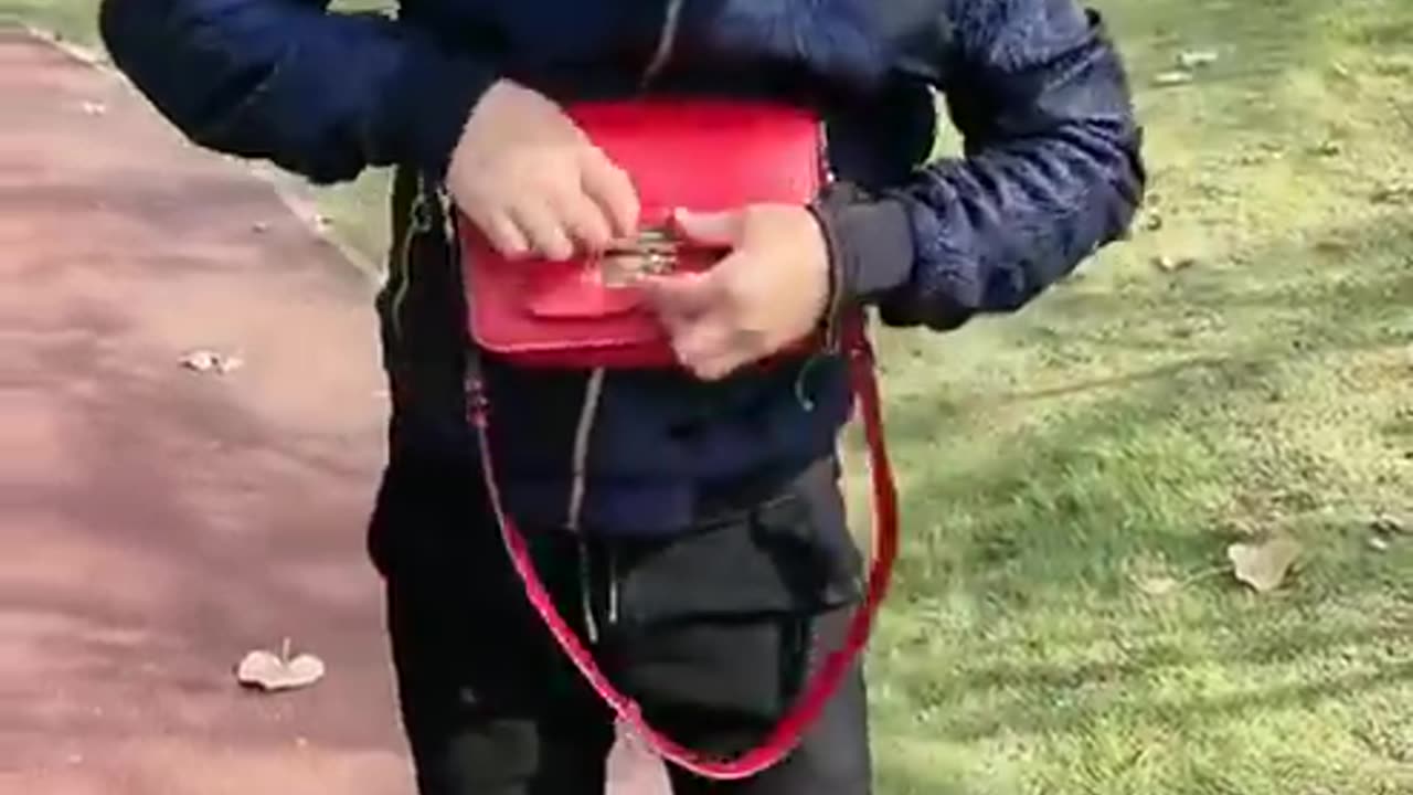A collection of fun moment